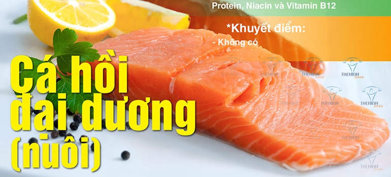 Giá trị dinh dưỡng cá hồi Đại Dương nuôi, cao béo bão hòa nhiều omega 3