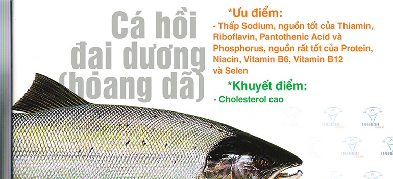 Giá trị dinh dưỡng cá hồi Đại Dương hoang dã giàu omega 3 cho gymer