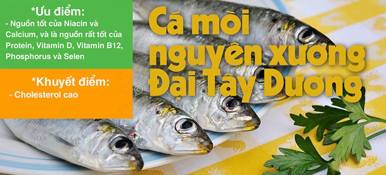 Giá trị dinh dưỡng cá mòi nguyên xương Đại Tây Dương đối với gymer