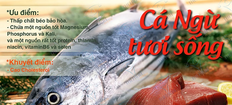 Giá trị dinh dưỡng cá ngừ tươi sống - Protein từ cá ít béo cho gymer