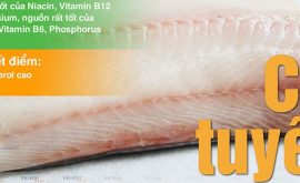 Giá trị dinh dưỡng cá tuyết - Nguồn protein thấp béo bão hòa cho gymer
