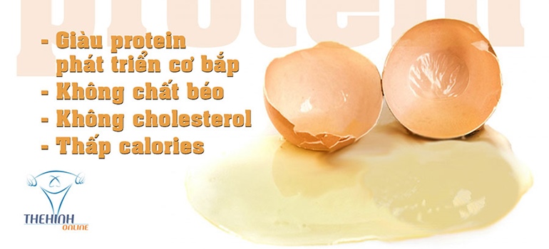Giá trị dinh dưỡng lòng trắng trứng - Nguồn protein kinh tế cho gymer