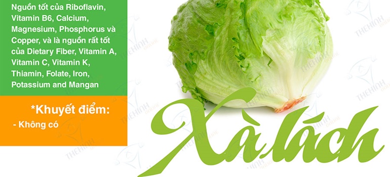 Giá trị dinh dưỡng xà lách - Rau có nhiều chất xơ, vitamin, khoáng chất