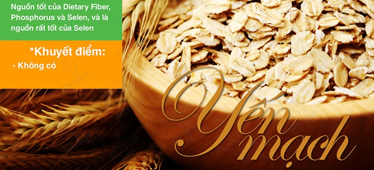 Giá trị dinh dưỡng yến mạch - Nguồn carb, tinh bột nhiều xơ tốt cho gymer