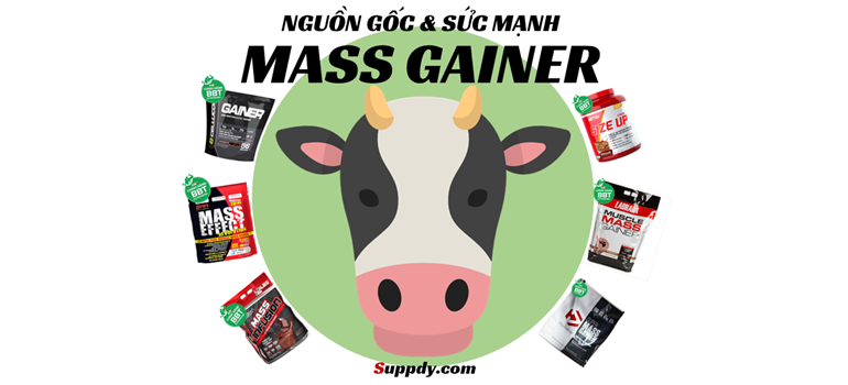 Sữa Tăng Cân Cho Người Gầy - Nguồn Gốc & Sức Mạnh