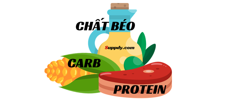 Cách lên thực đơn cho người tập gym